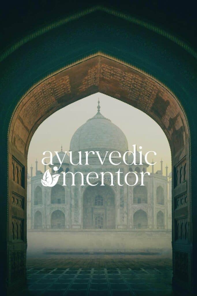 Ayurvedic mentor brand logo design Be More You brand design