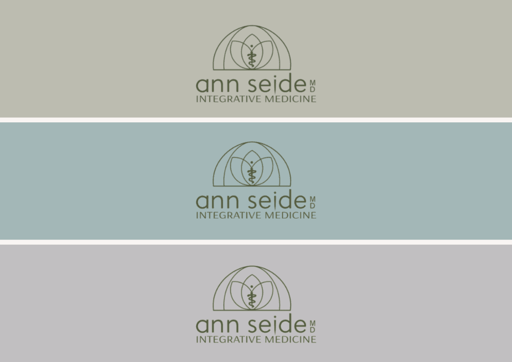 Ann Seide original logo Brand Vision